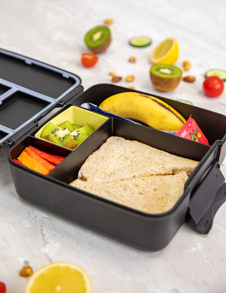 Feast Lunch Box - Midnight