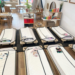 PRE ORDER DUE MID MAY - FAIRY GARDEN DAYCARE BEDDING SWAGGIE